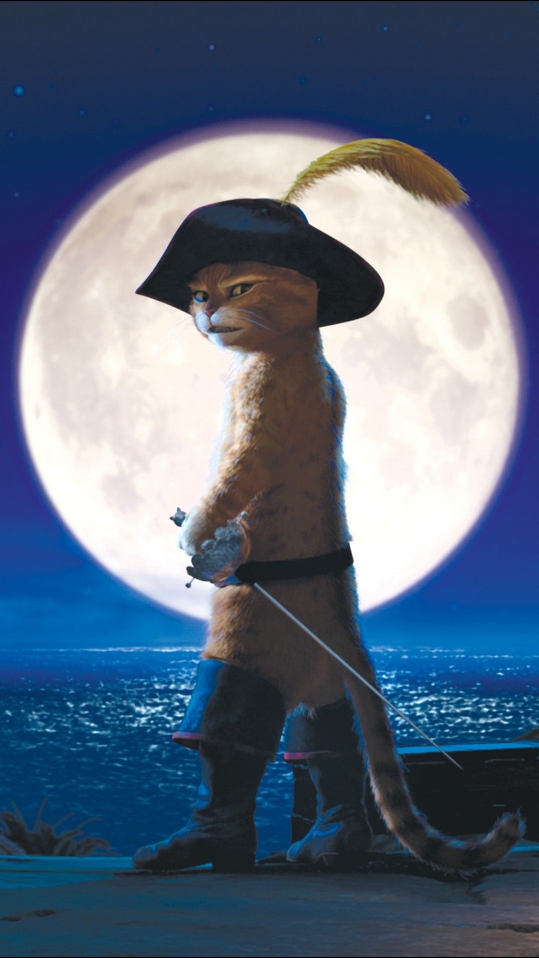 gato